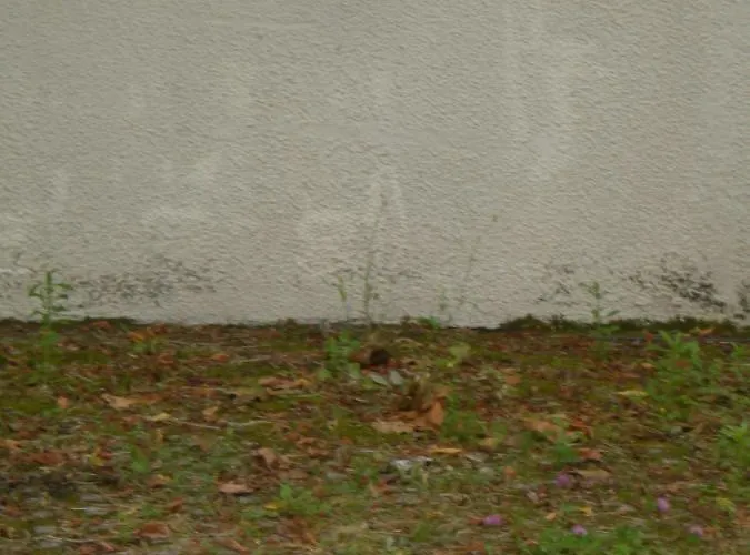 Av Gambetta 아르카숑